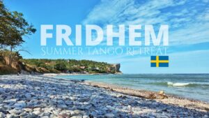 portada evento fridhem